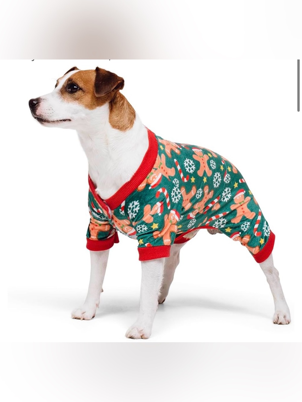 Festive Gingerbread Holiday Dog Pajamas - Green & Red, size XXS (2-5lbs)